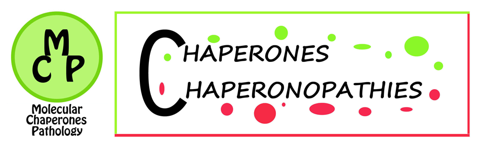 The Chaperonopathies